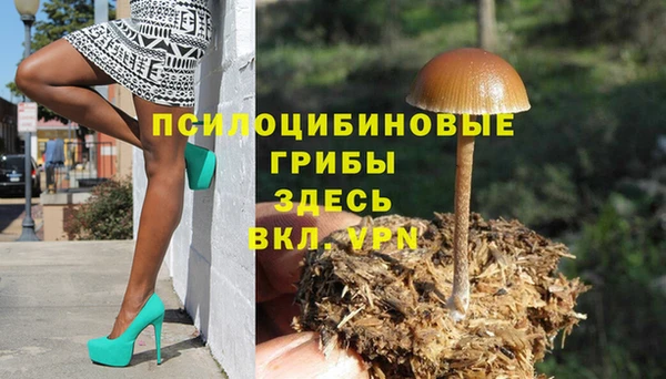 винт Лиски
