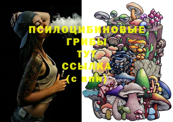 мяу мяу кристалл Лабытнанги