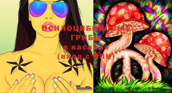 эйфоретик Кукмор