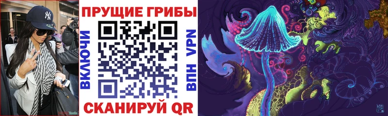 Псилоцибиновые грибы Cubensis Купить где Бирюсинск