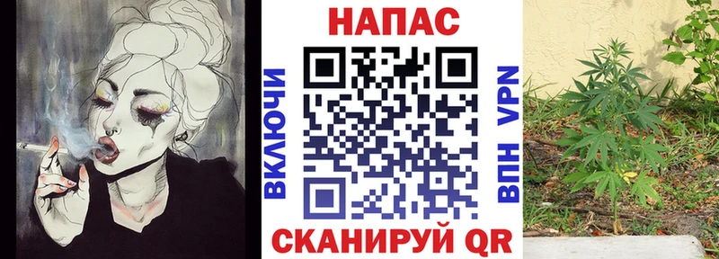Купить где  Бирюсинск  Марихуана семена 